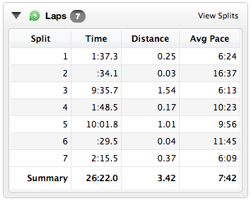 My embarrassing run and gasp intervals. The second "lap" represents a portion where I walking on a really unstable bridge. The other slow laps are me catching my breath and dying.